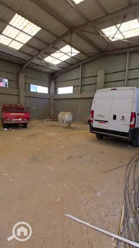 7 542440975_633084429602507_4233453589455918664_n. jpg