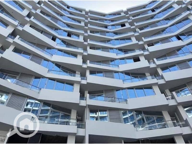 7 Picture14 (2) (1). jpg