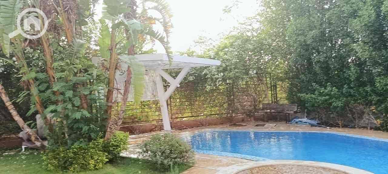 3 b79d5bab-f305-465a-a859-c16391177928. jpg