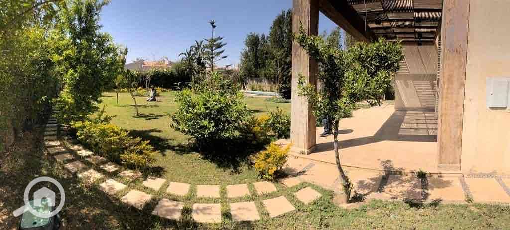 9 ce888253-daec-4d44-9dfd-a58b9e49d505. jpg