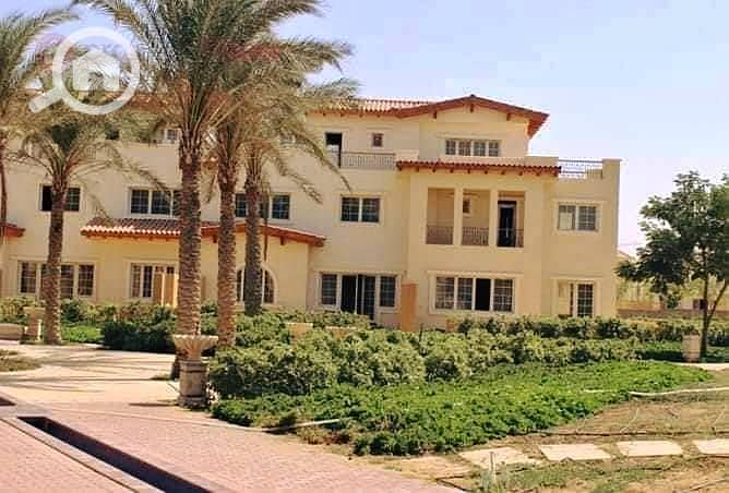 7 54728390_596425937534918_3843761452338905088_n. jpg