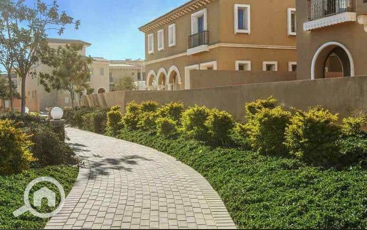 7 48971548_777631339280087_1448511831206264832_n. jpg