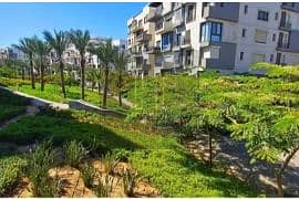 3 8366866-62232o (1). jpg