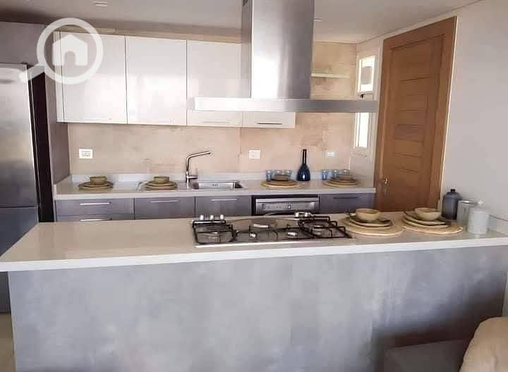 2 photo_2025-02-01_22-53-04. jpg