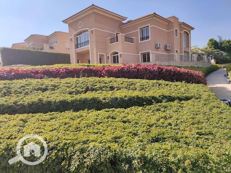 469507973_122122269938575405_7811119690120536027_n. jpg 469507973_122122269938575405_7811119690120536027_n. jpg