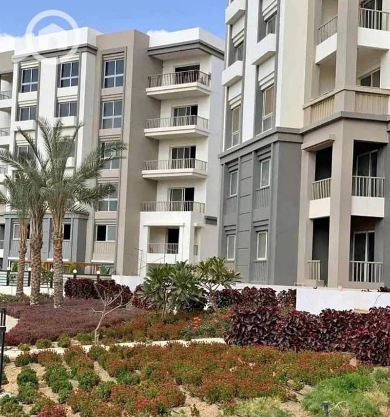 7 WhatsApp Image 2025-11-17 at 3.46. 42 AM. jpeg