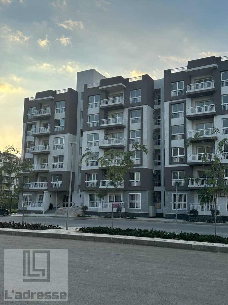 IMG-20251212-WA0006. jpg IMG-20251212-WA0006. jpg