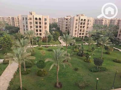 شقة 2 غرفة نوم للايجار في القاهرة الجديدة، القاهرة - 1000757248. jpg شقة 2 غرفة نوم للايجار في القاهرة الجديدة، القاهرة - 1000757248. jpg