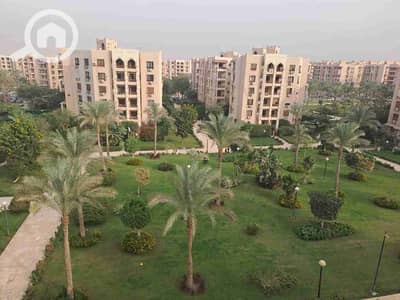 شقة 2 غرفة نوم للايجار في القاهرة الجديدة، القاهرة - 1000671091. jpg شقة 2 غرفة نوم للايجار في القاهرة الجديدة، القاهرة - 1000671091. jpg