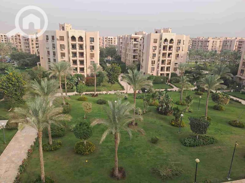 1000671091. jpg 1000671091. jpg