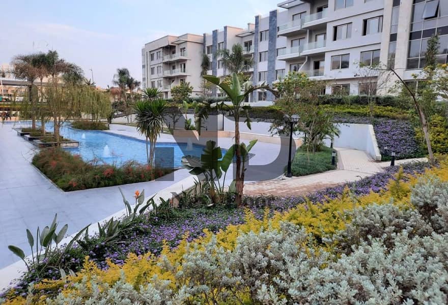 8 0847a293-3f2f-4b30-8e8b-c76831244307. jpg