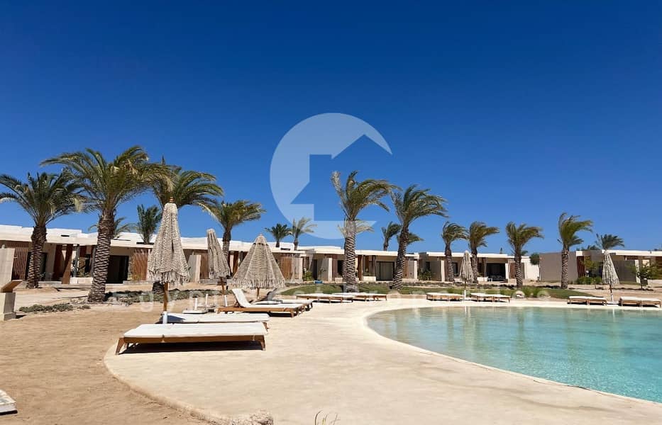 12 WhatsApp Image 2025-09-28 at 13.23. 22_9d29f8d5. jpg