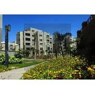 2 686e28b0d68b1191382094. jpg