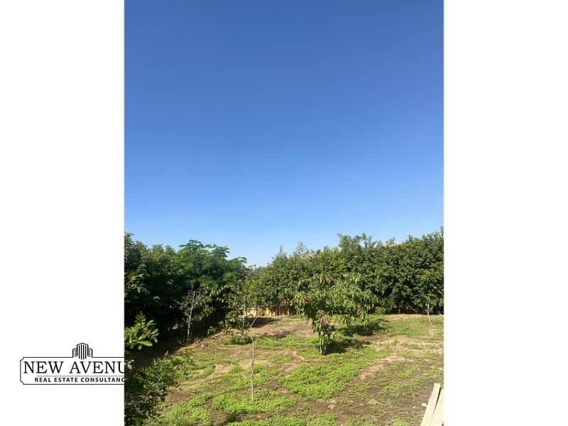 7 WhatsApp Image 2025-11-30 at 2.13. 51 PM (1). jpg