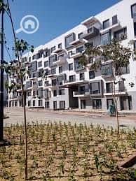 8 images - 2025-11-13T224244.116. jpg