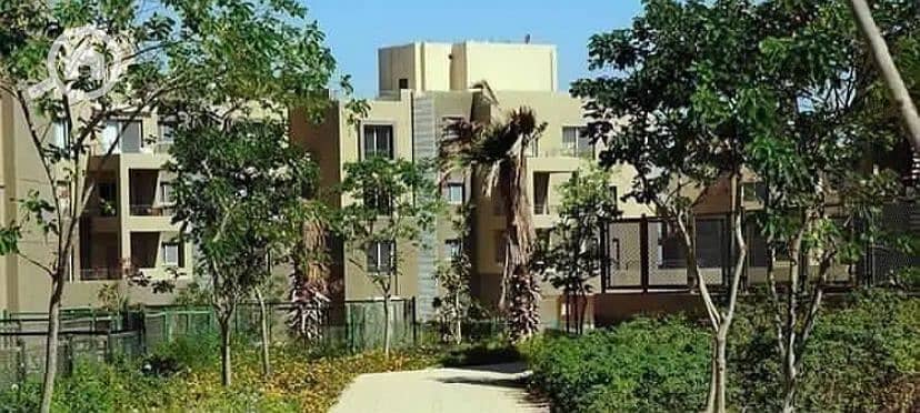 6 WhatsApp Image 2025-12-12 at 10.53. 38 PM (4). jpeg