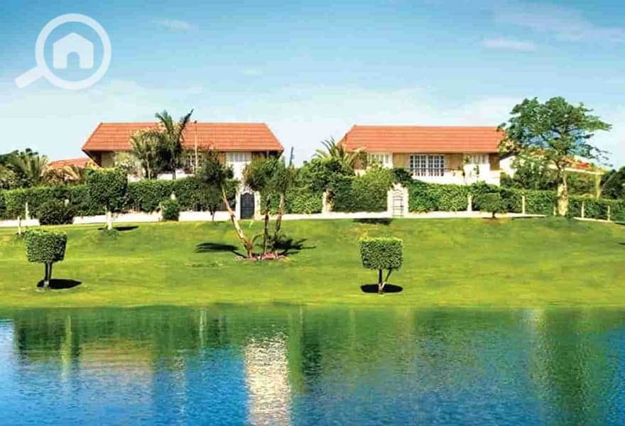 1000214957. jpg 1000214957. jpg