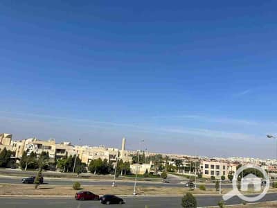 فلیٹ 2 غرفة نوم للايجار في الشيخ زايد، الجيزة - 1000162021. jpg فلیٹ 2 غرفة نوم للايجار في الشيخ زايد، الجيزة - 1000162021. jpg