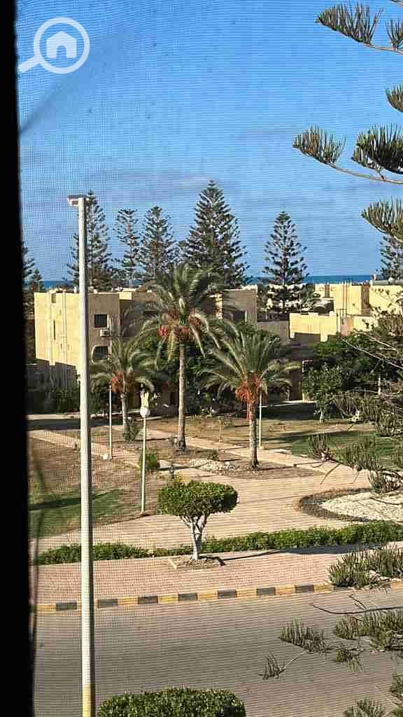 4 IMG-20251212-WA0033. jpg