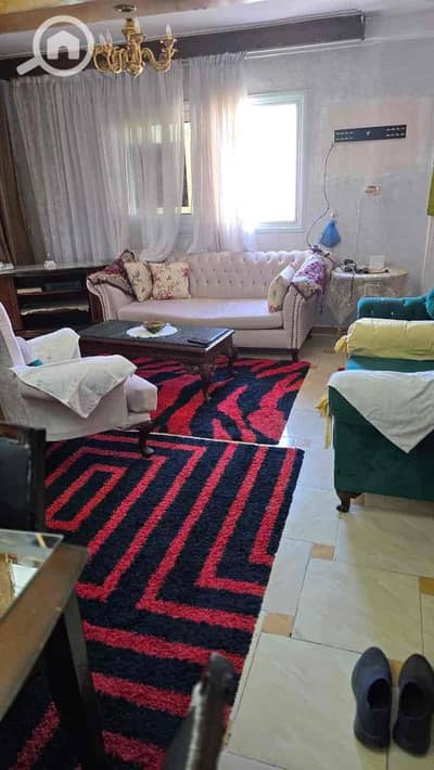 2 Bedroom Apartment for Rent in Miami, Alexandria - 8cbe3489-c190-4cec-b942-ef6710a2444a. jpg