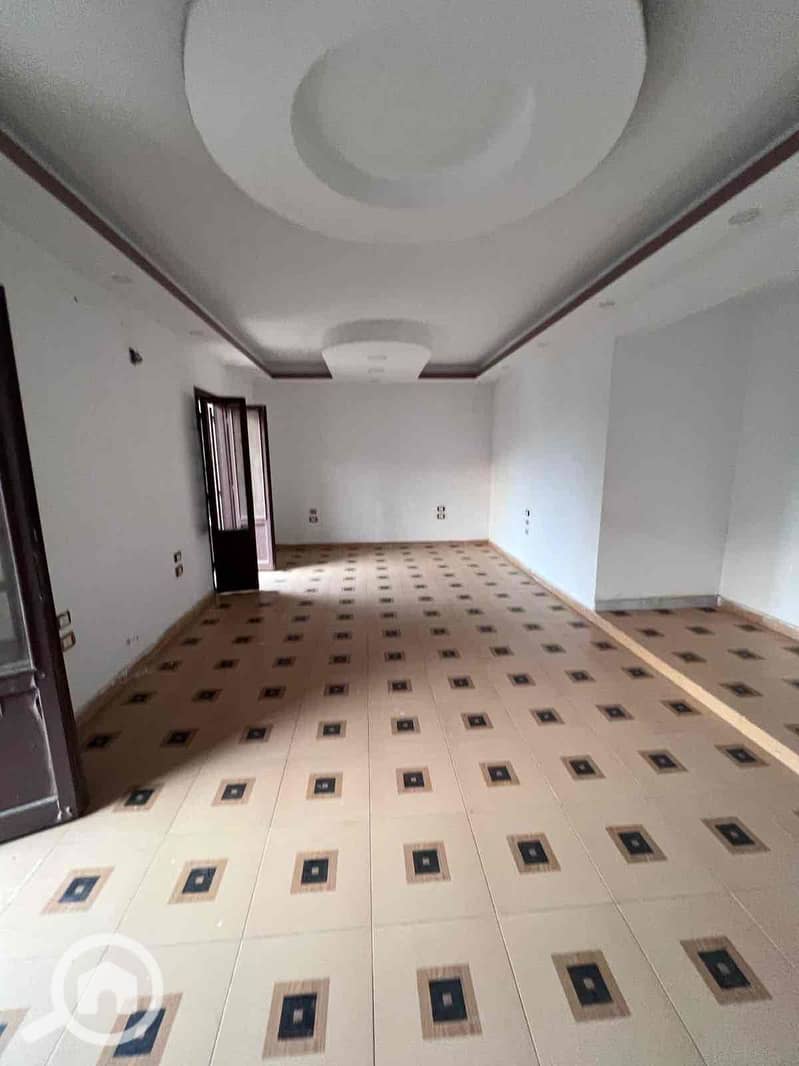 11 2414285b-fc93-4f7d-9386-9bed7a11f312. jpg