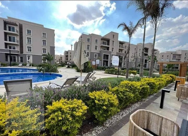 8 60860529-32b4-4029-935f-8f8c5e34055b. jpg