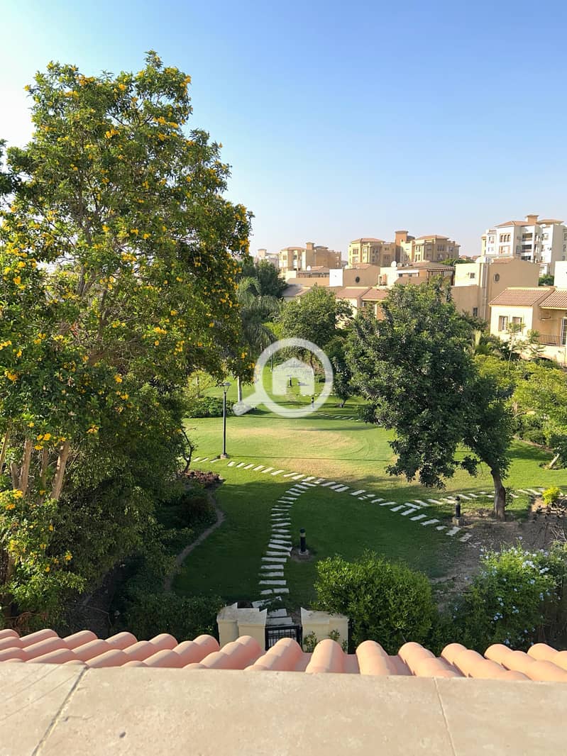 6 382def38-c416-4e6f-8cac-6c84d82d1c46. jpeg