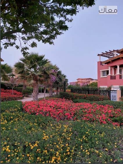 9 c4447c85-0bcc-4d87-b874-9e973e215fb8. jpg