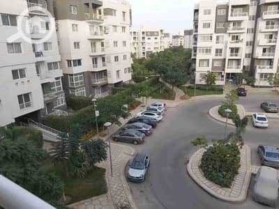 3 Bedroom Apartment for Rent in Madinaty, Cairo - 1000711085. jpg