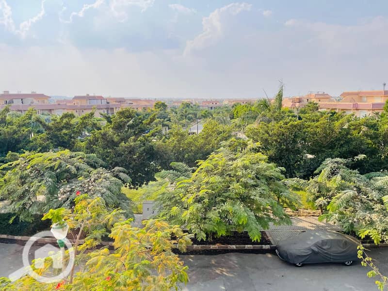 11 c883d711-f0e5-4ef7-aa48-6c8fea83b098. jpeg