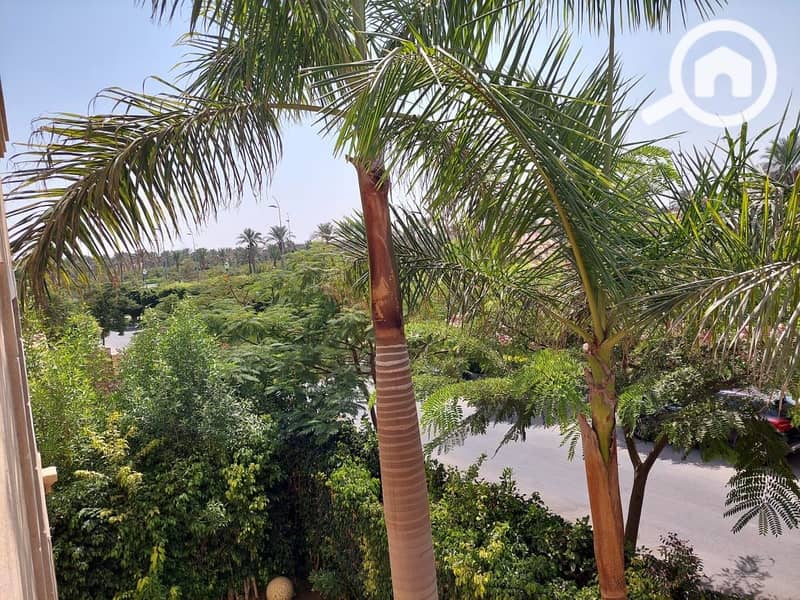 12 366838308_3099576130337179_6654447498431257199_n. jpg