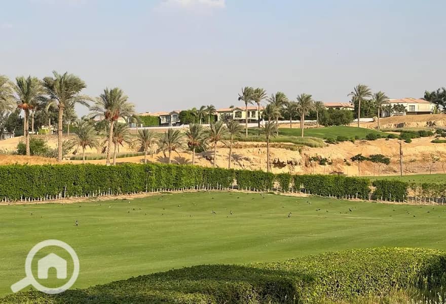 2 8317947-4e6edo. jpg