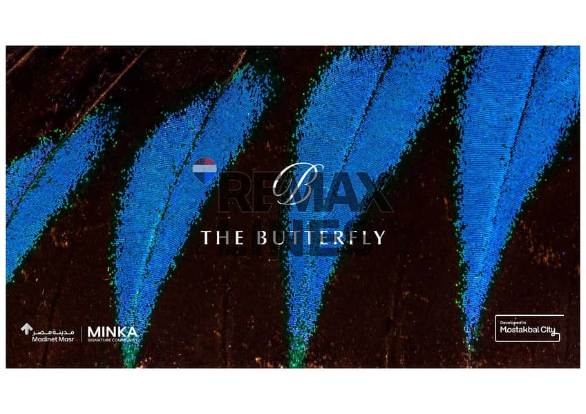 4 WhatsApp Image 2025-11-29 at 21.56. 01. jpeg