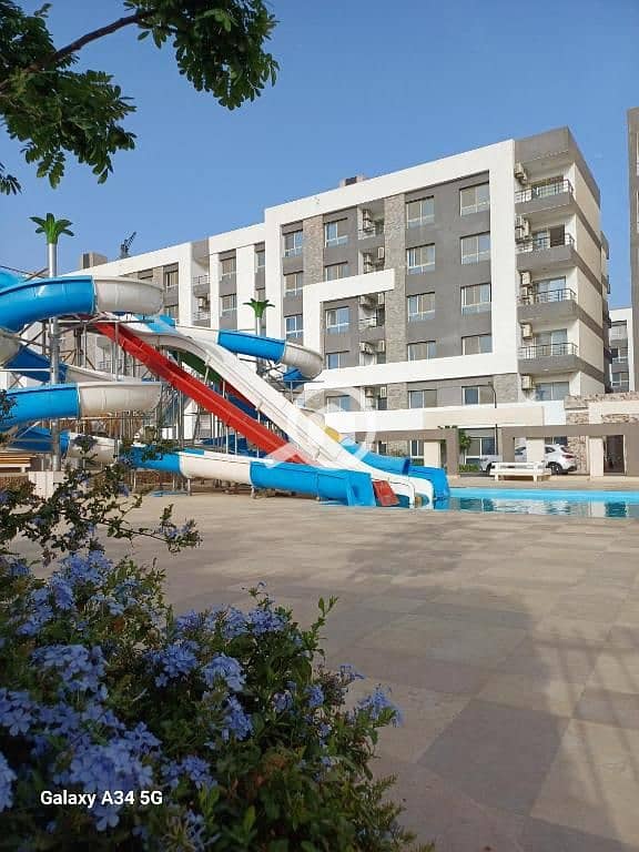 560294732. jpg 560294732. jpg