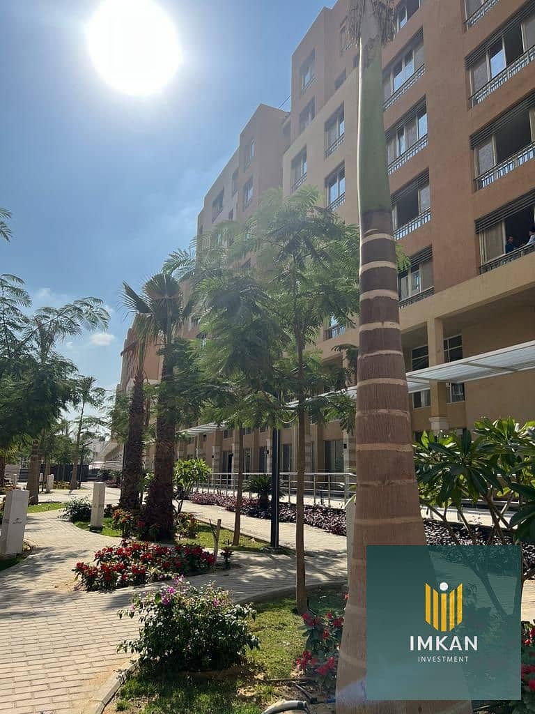 10 e56e11e4-6fc2-4e37-b29d-a4581e42b18e. jpg