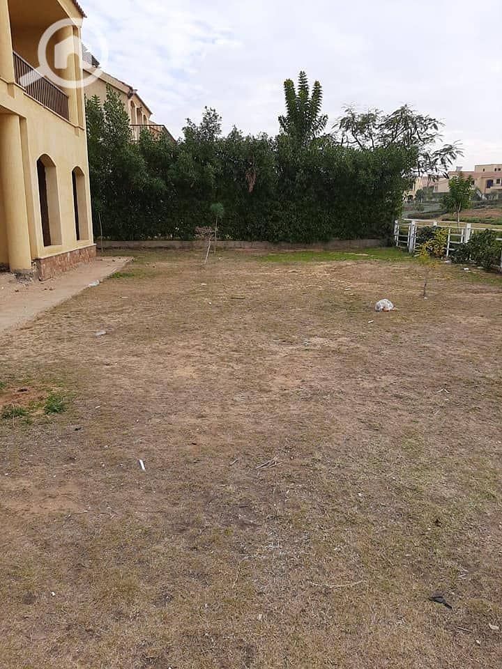 7 160717152_934591263999790_214866455763085075_n. jpg