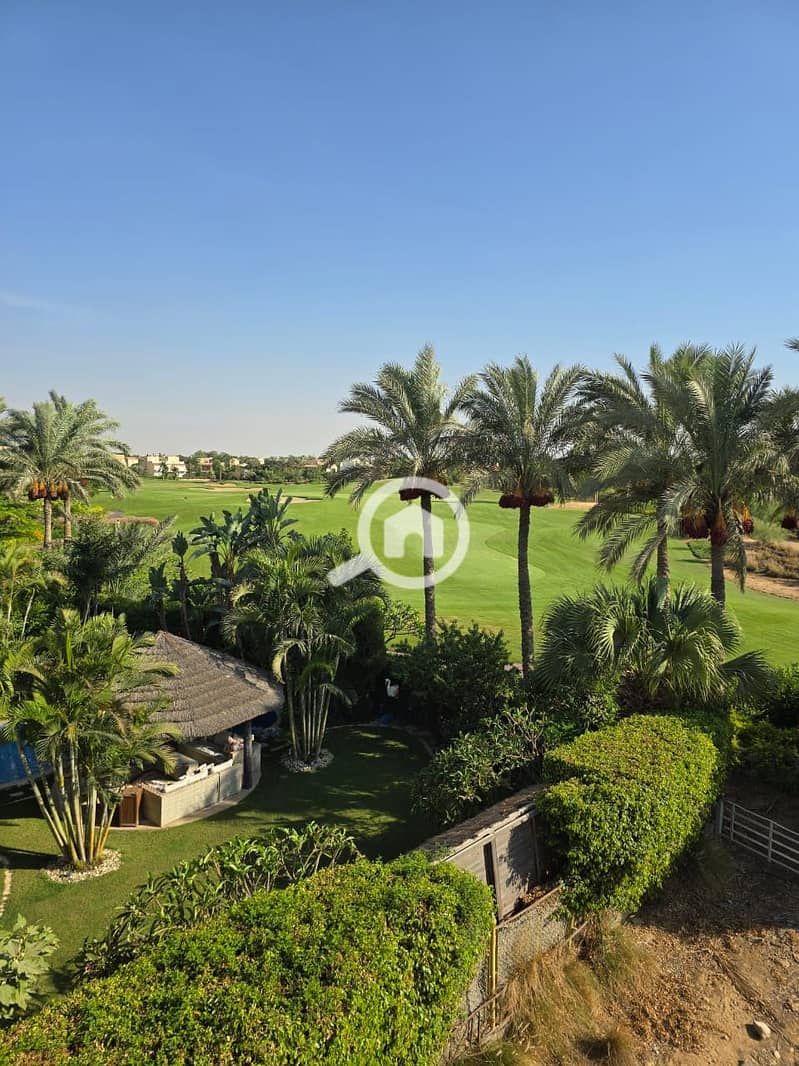 13 49876065-b6a0-476b-b5e4-2c5df59ef5f8. jpeg