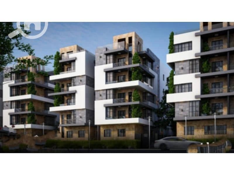 3 79aea41e-35aa-457e-a4ca-7291e1164cd8. jpg