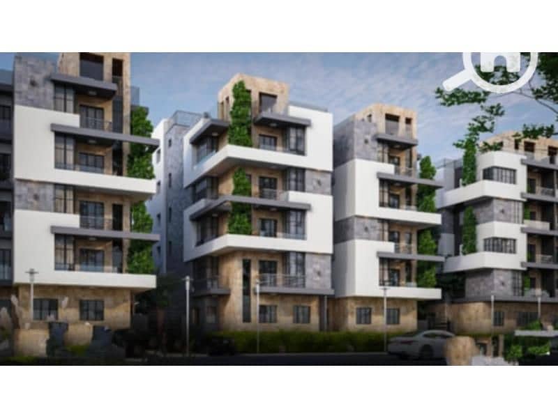 7 653209d7-a722-4e3e-b14f-e4ad997ad65a. jpg