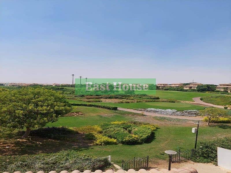 5 97975cb7-b07a-4200-9e54-69439abb533c. jpg