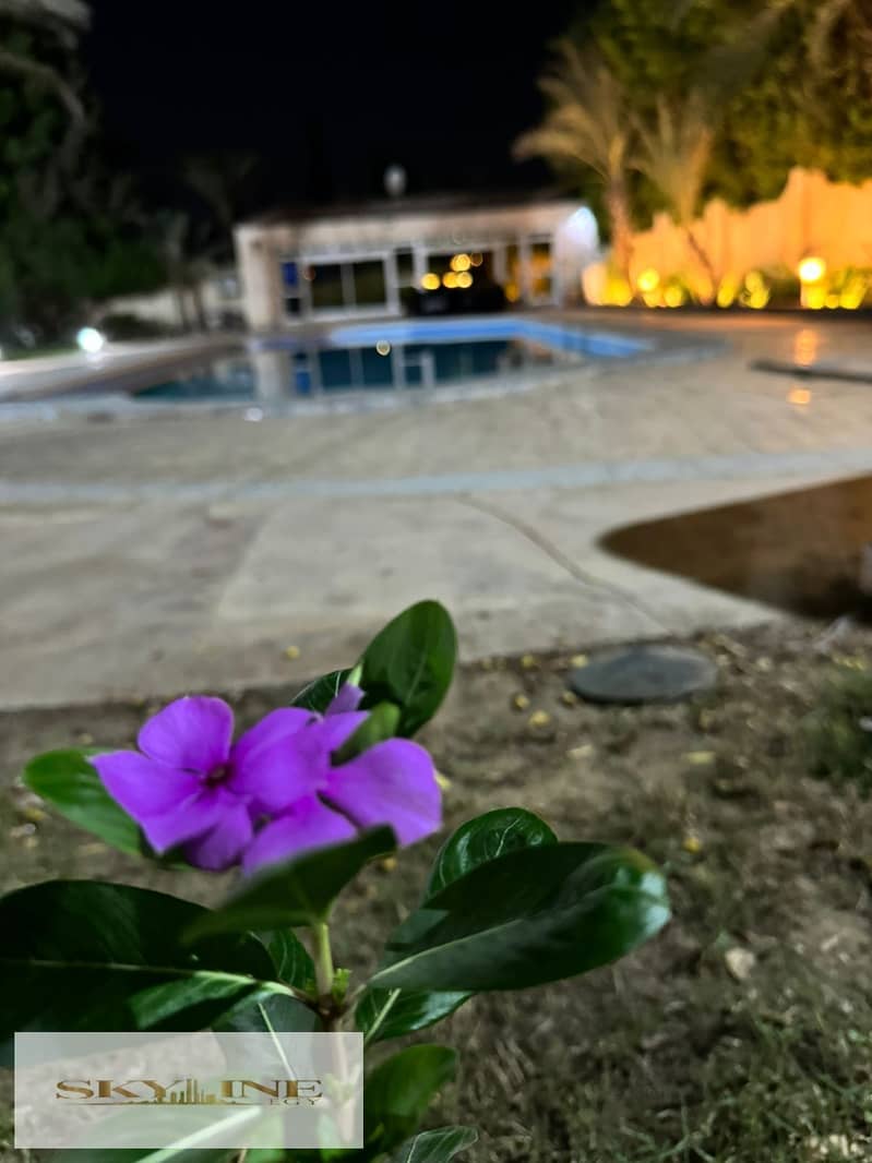 3 WhatsApp Image 2025-12-13 at 1.11. 03 PM (1). jpeg