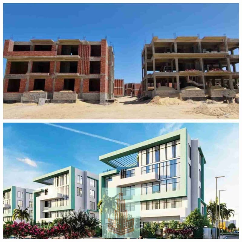 1000013934. jpg 1000013934. jpg