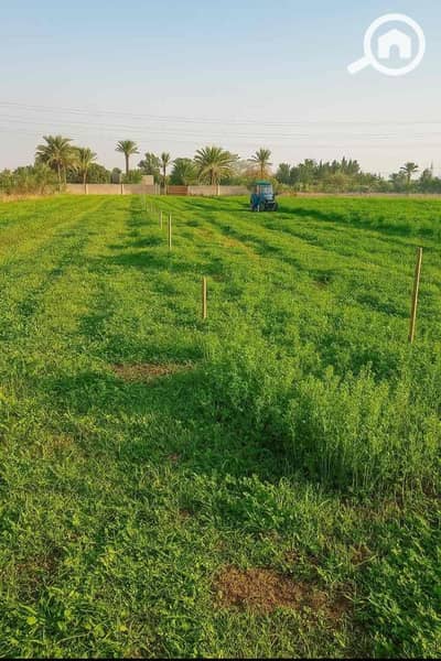 زراعي  للبيع في وادي النطرون، البحيرة - IMG_6031. jpg