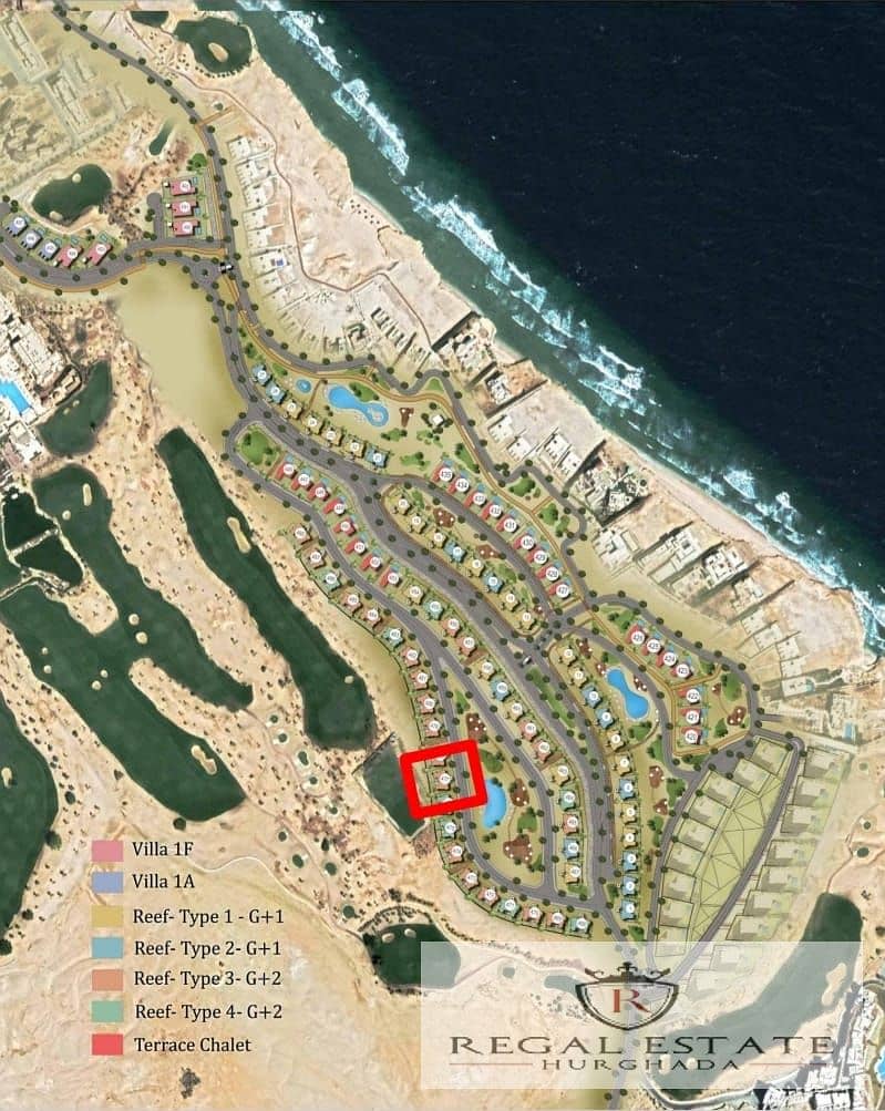 3 WhatsApp Image 2025-12-13 at 1.35. 01 PM(2). jpeg