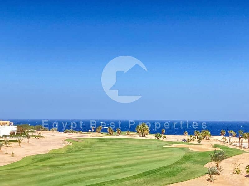 25 WhatsApp Image 2024-03-25 at 17.08. 46_b67dc81b. jpg