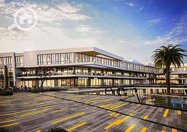 IMG-20251210-WA0123. jpg IMG-20251210-WA0123. jpg