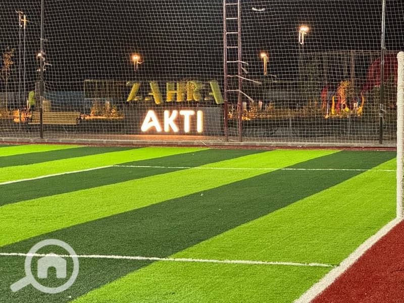 6 زهرههه . jpg