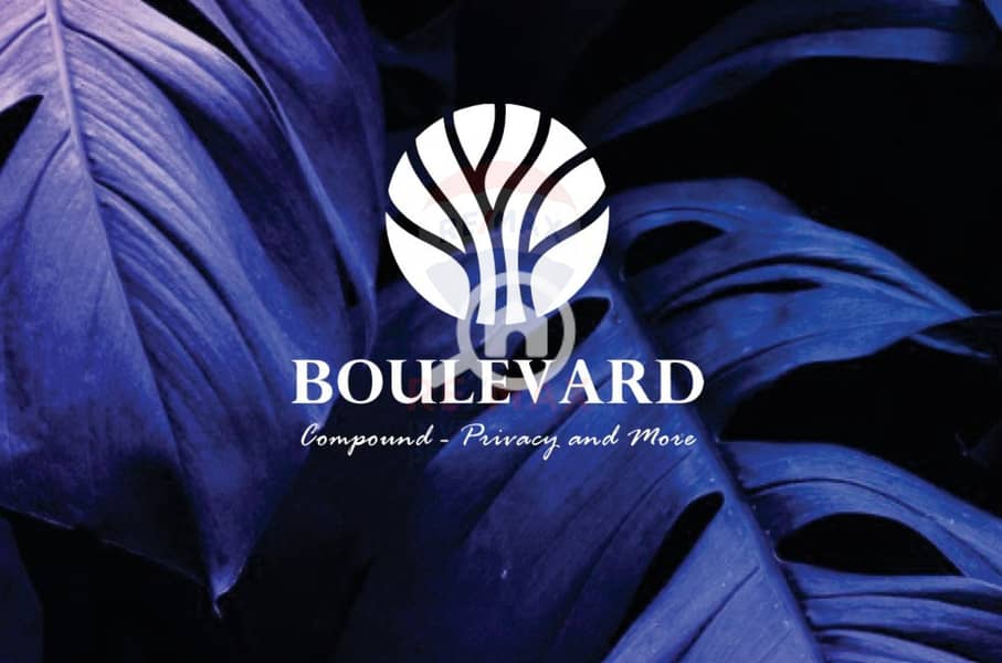 1 (Custom). png 1 (Custom). png