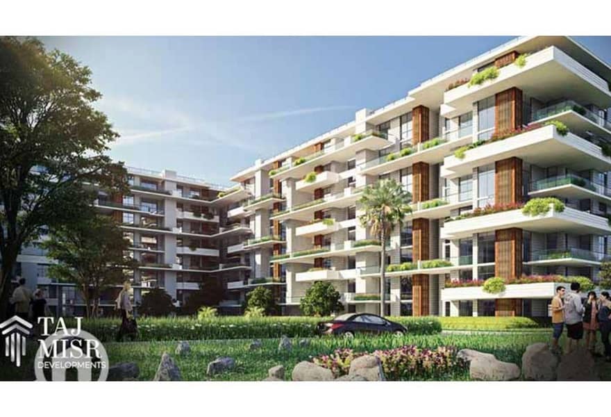 7 c949b916-e151-11ef-b921-ce7a413a7ff7. jpeg