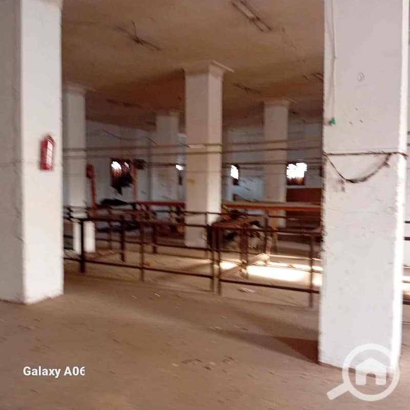 12 223bc499-f48f-455e-9342-6ba36cff762e. jpg